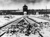 Le camp d'Auschwitz